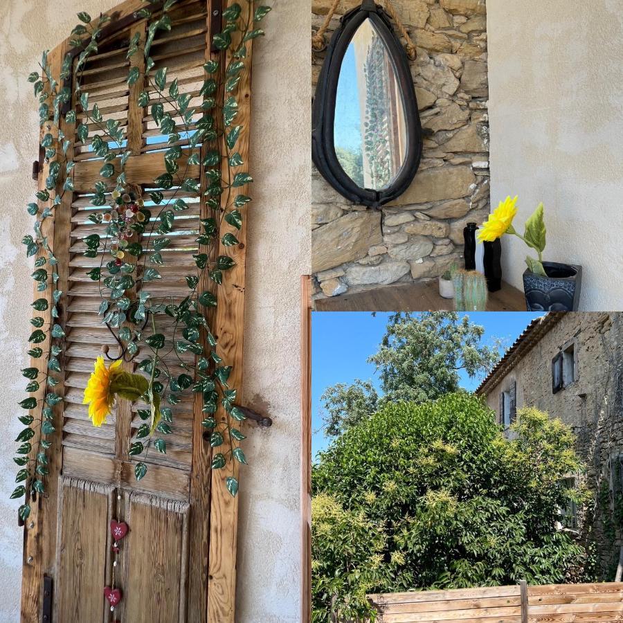 Appartement Entre Village Et Plages. Saint-Cyr-sur-Mer Dış mekan fotoğraf