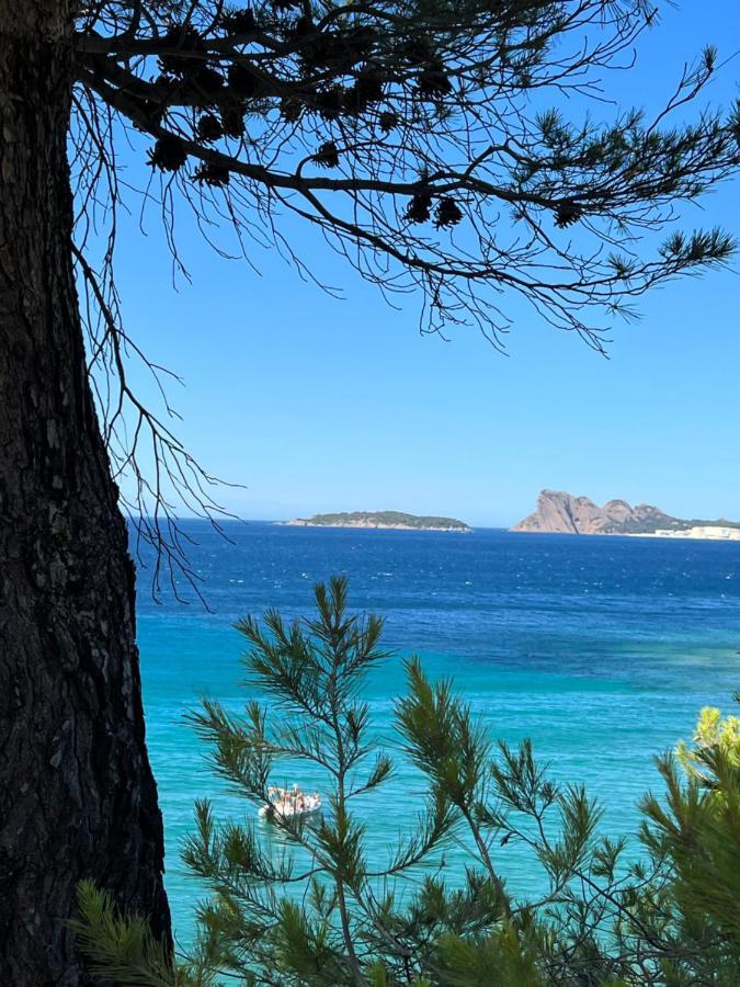 Appartement Entre Village Et Plages. Saint-Cyr-sur-Mer Dış mekan fotoğraf