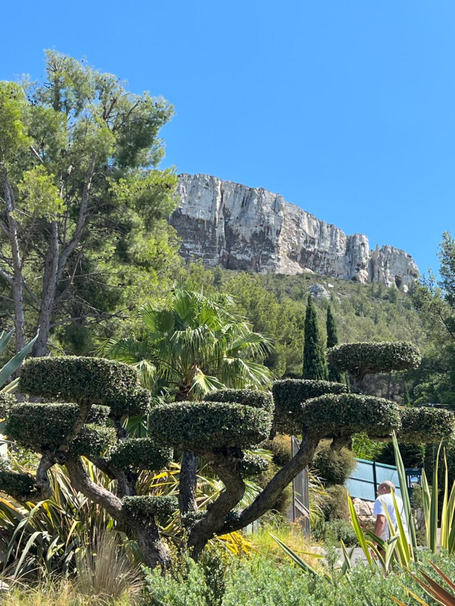 Appartement Entre Village Et Plages. Saint-Cyr-sur-Mer Dış mekan fotoğraf